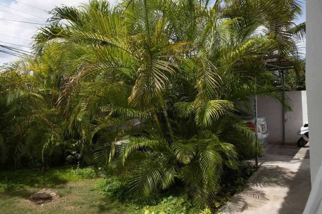 Villa Caribe Bayahíbe Exterior foto